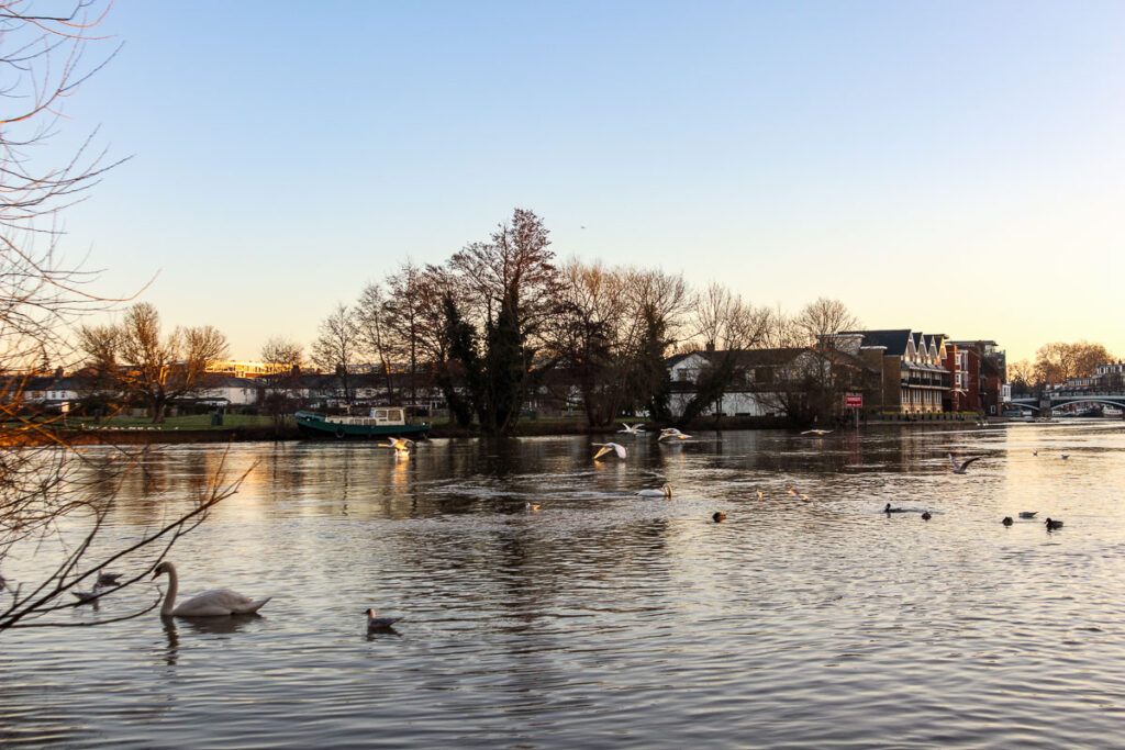 windsor thames view