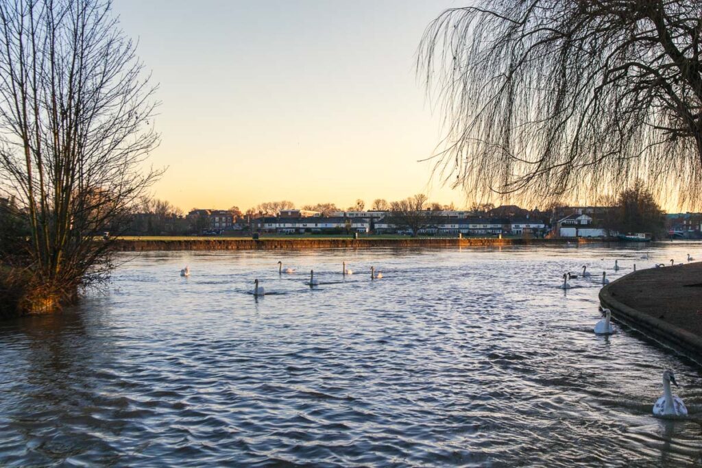 river thames in windsor