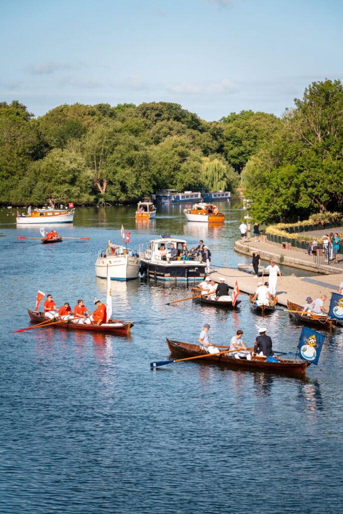 swan upping in july