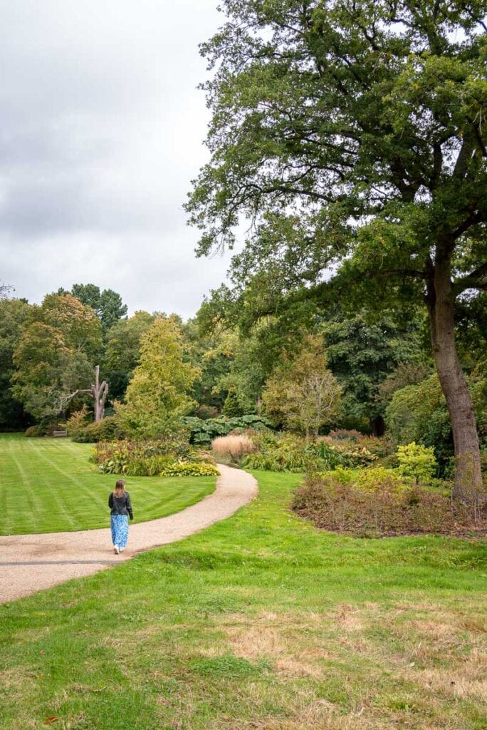 exploring savill gardens