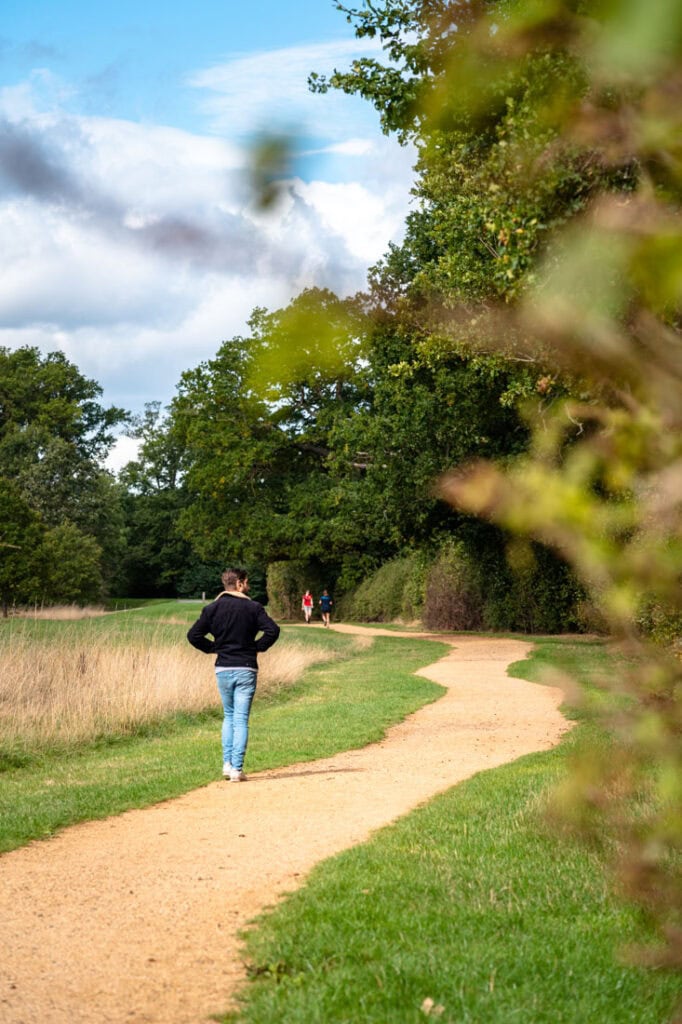 exploring windsor great park