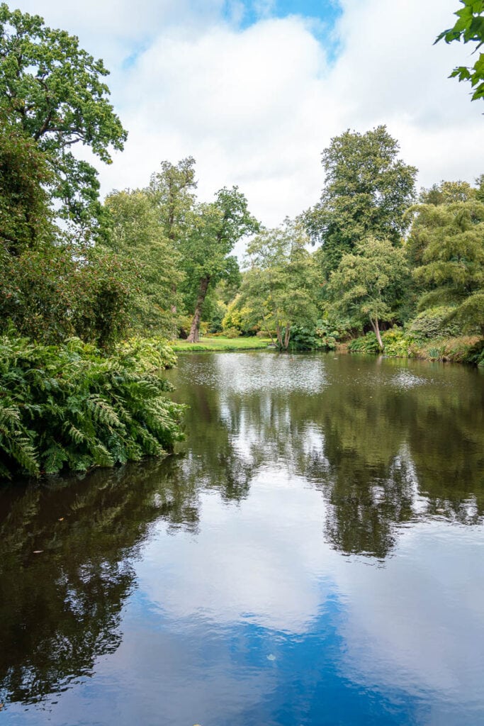 lakes at savill gardens