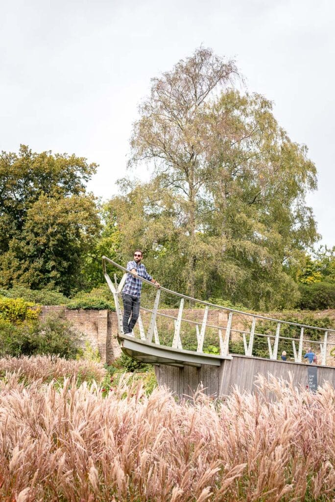 savill gardens information