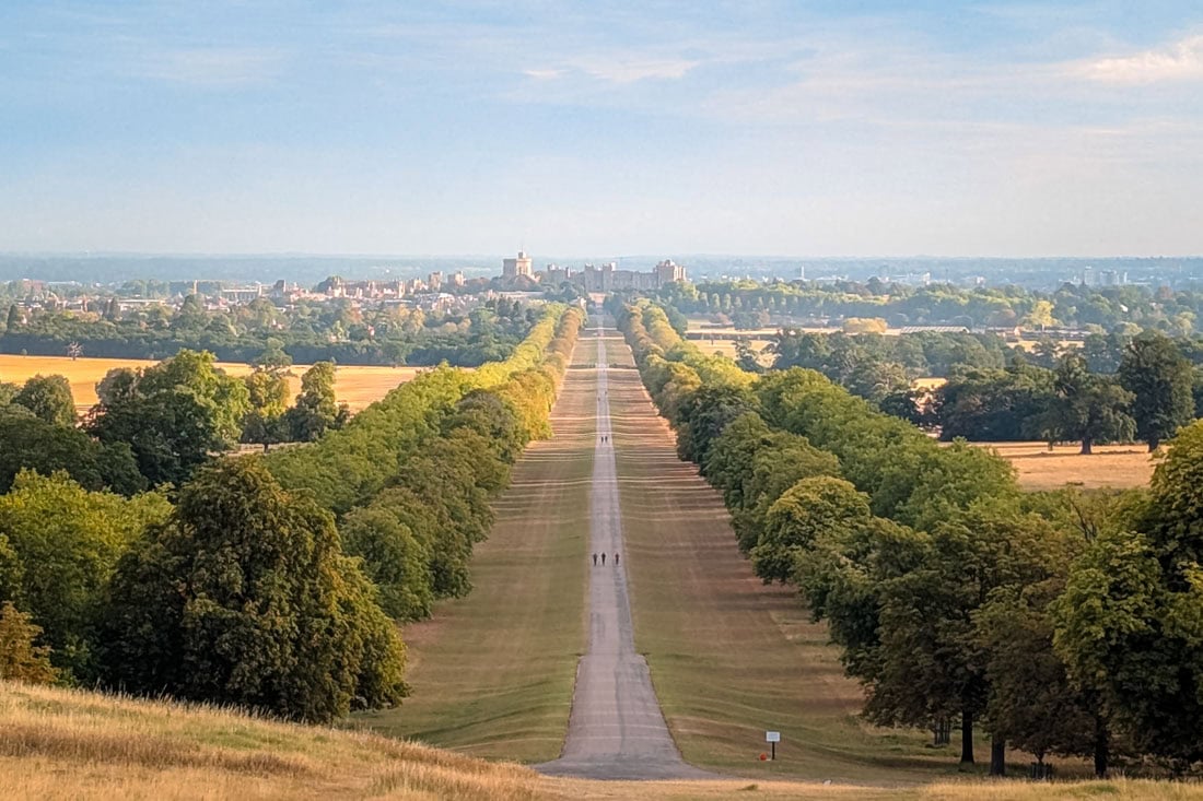 whats on in windsor in november