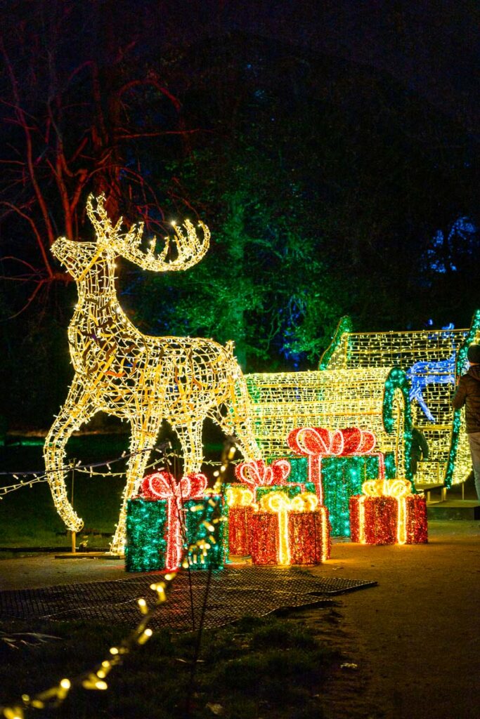 christmas at windsor illuminated