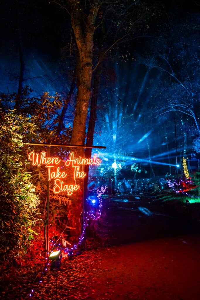 things to do in windsor at christmas