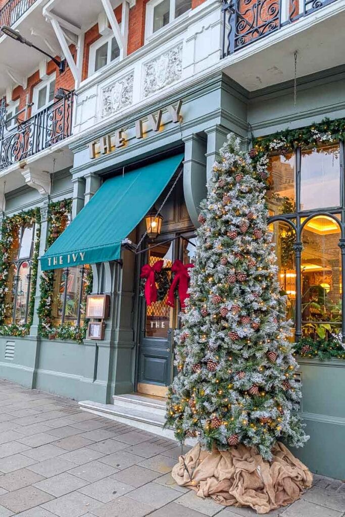 windsor christmas ivy