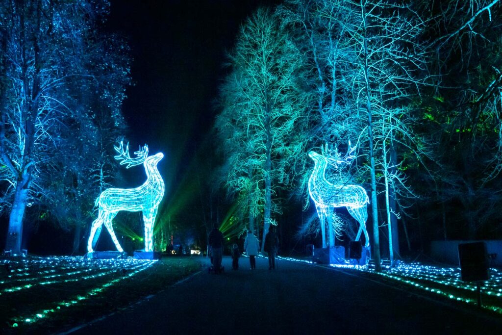 windsor illuminated review