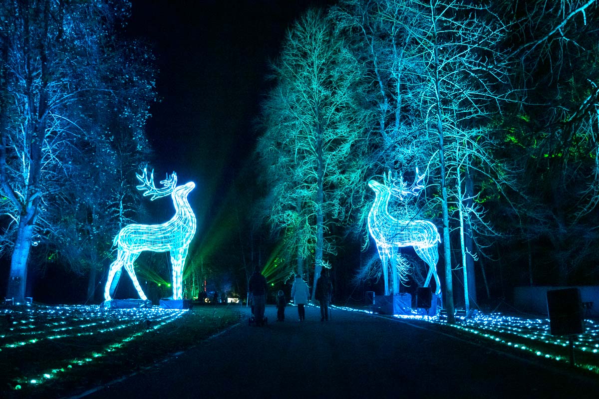 windsor illuminated review