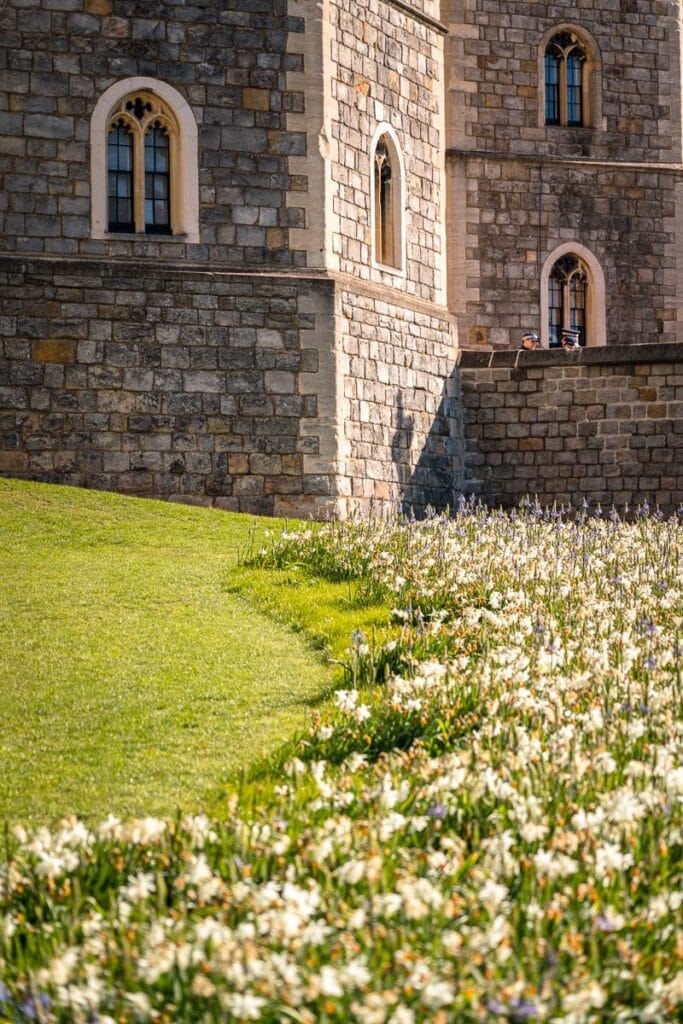 flowers in windsor